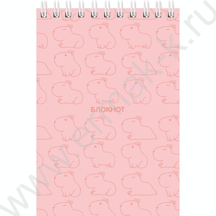 Блокнот  40л А6 спираль "Нежная капибара" ассорти | Фото 2