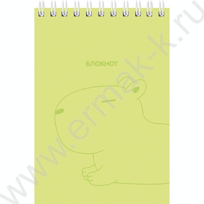 Блокнот  40л А6 спираль "Нежная капибара" ассорти | Фото 5