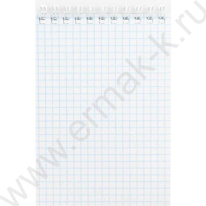 Блокнот  40л А6 спираль "Нежная капибара" ассорти | Фото 6