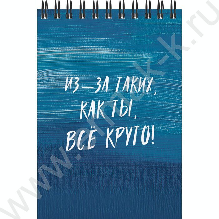 Блокнот  40л А6 спираль "Фразы" ассорти | Фото 5
