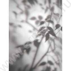 Зап. книжка  80л А5 тв.обл. "Тень листьев" /глянец/ NEW | Фото 4