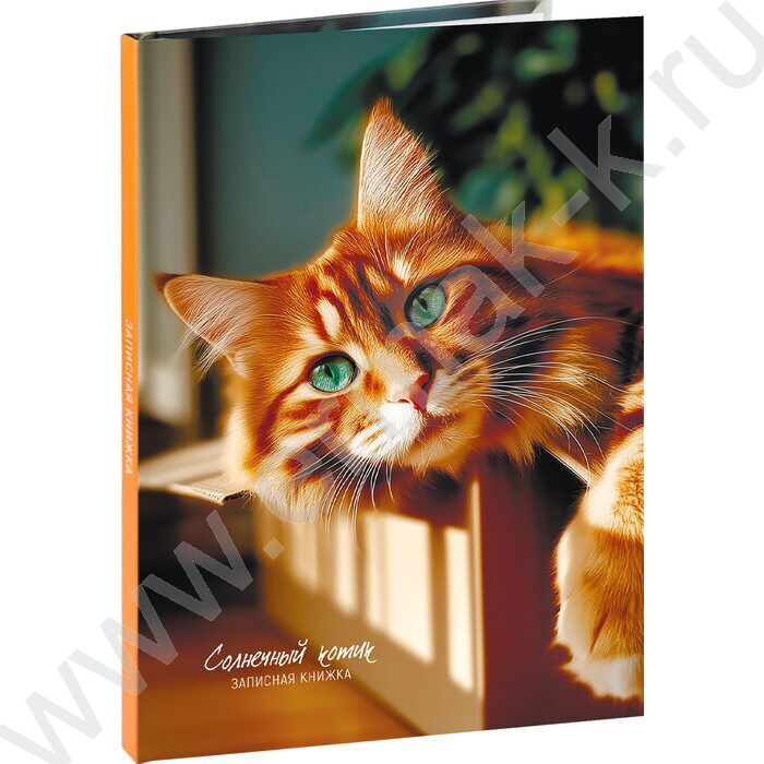 Зап. книжка  80л А5 тв.обл. "Милые коты-4" /глянец/лен/без линовки/ | Фото 1