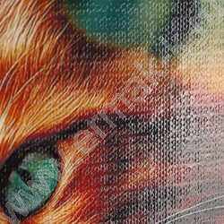 Зап. книжка  80л А5 тв.обл. "Милые коты-4" /глянец/лен/без линовки/ NEW | Фото 5