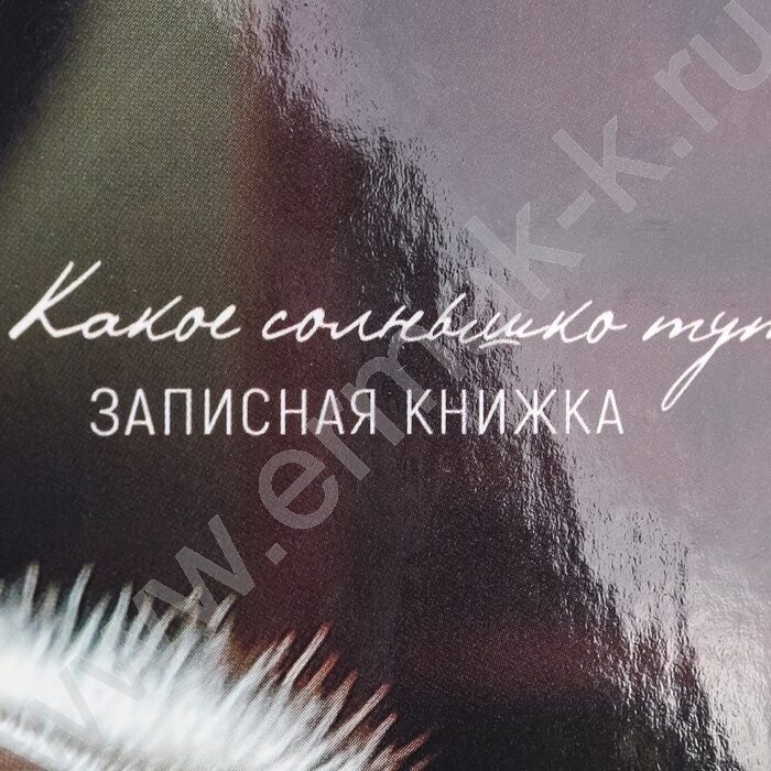 Зап. книжка 160л А5 тв.обл. "Милые коты-5" /глянец/ | Фото 5