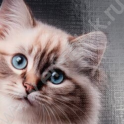 Зап. книжка 160л А5 тв.обл. "Красивый кот-1" /глянец/лен/ NEW | Фото 5