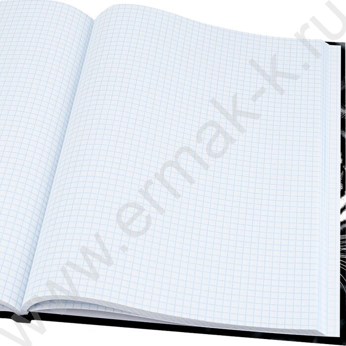 Зап. книжка  48л А6 тв.обл. "Тигр в зарослях-1" /глянец/ | Фото 3