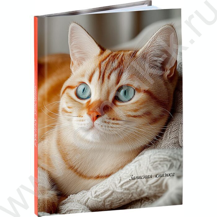 Зап. книжка  48л А6 тв.обл. "Уютные котики-3" /глянец/ | Фото 1