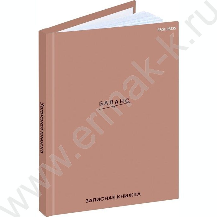 Зап. книжка  48л А6 тв.обл. "Баланс" /глянец/лен/ | Фото 1