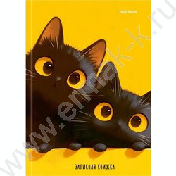 Зап. книжка  48л А6 тв.обл. "Два чёрных котика" /глянец/лен/ NEW | Фото 2