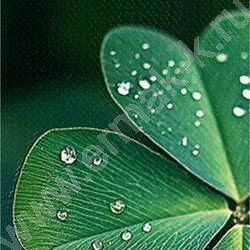 Зап. книжка  48л А6 тв.обл. "Счастливый клевер" /глянец/лен/ NEW | Фото 5