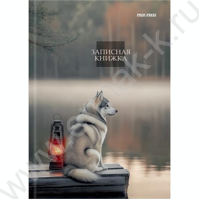 Зап. книжка  64л А6 тв.обл. "Aesthetics" /глянец/ | Фото 2