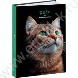 Зап. книжка 160л А6 тв.обл. "Зеленоглазый котик-2" /глянец/лен/ NEW | Фото 1