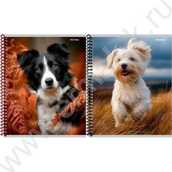 Тетрадь  48л клетка/спираль "Друг человека" /твин-лак/ ассорти NEW | Фото 1