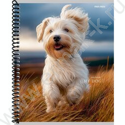 Тетрадь  48л клетка/спираль "Друг человека" /твин-лак/ ассорти NEW | Фото 2