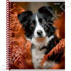 Тетрадь  48л клетка/спираль "Друг человека" /твин-лак/ ассорти NEW | Фото 3