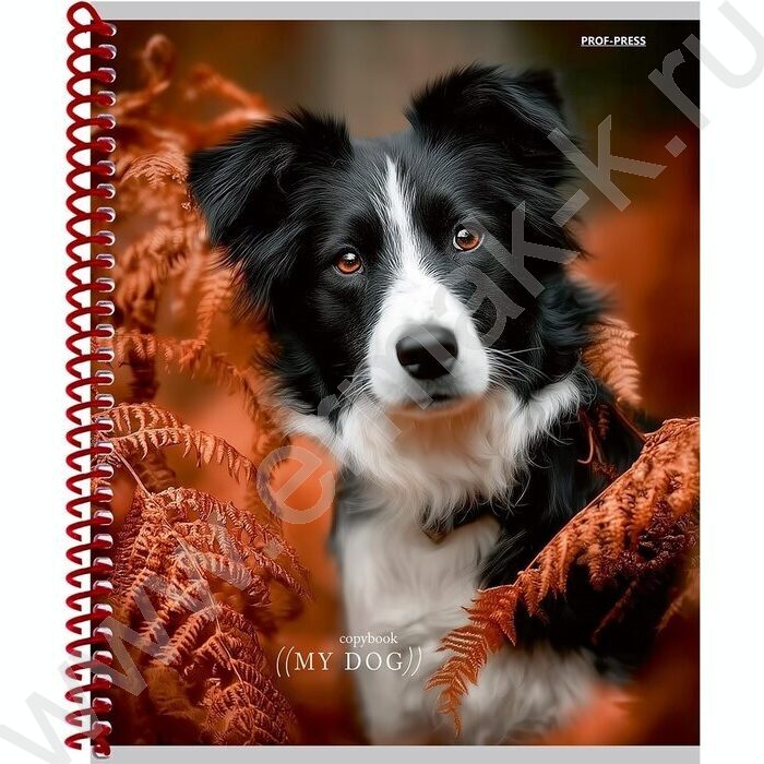 Тетрадь  48л клетка/спираль "Друг человека" /твин-лак/ ассорти | Фото 3