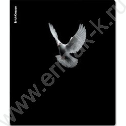 Тетрадь  48л клетка "High Fly" NEW | Фото 1