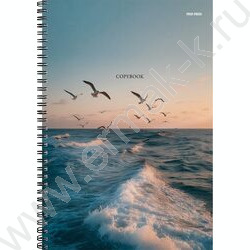Тетрадь  96л А4 клетка/спираль "Чайки над морем" /твин-лак/ NEW | Фото 1