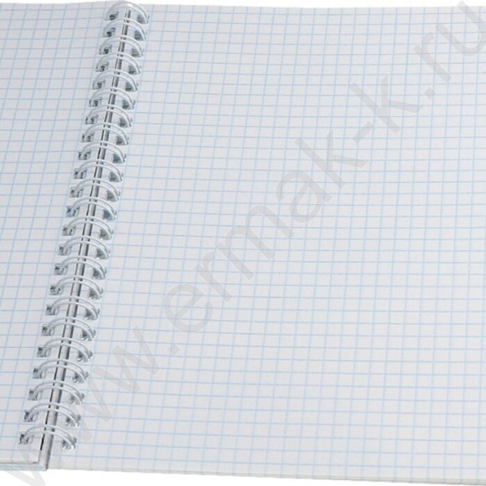 Тетрадь  48л клетка/спираль "В чёрно-белом стиле" /мат.лам/ ассорти | Фото 4