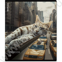 Тетрадь  48л клетка "Big City Cats" /глянц.лам. /ассорти NEW | Фото 2