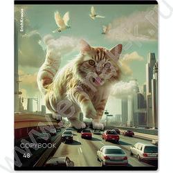 Тетрадь  48л клетка "Big City Cats" /глянц.лам. /ассорти NEW | Фото 3