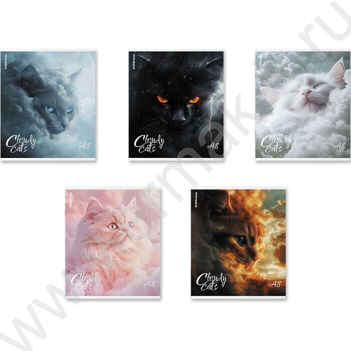 Тетрадь  48л клетка "Cloudy Cats" /мат.лам. /ассорти | Фото 1