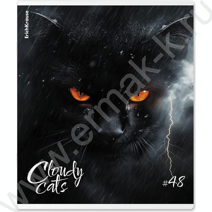 Тетрадь  48л клетка "Cloudy Cats" /мат.лам. /ассорти | Фото 2