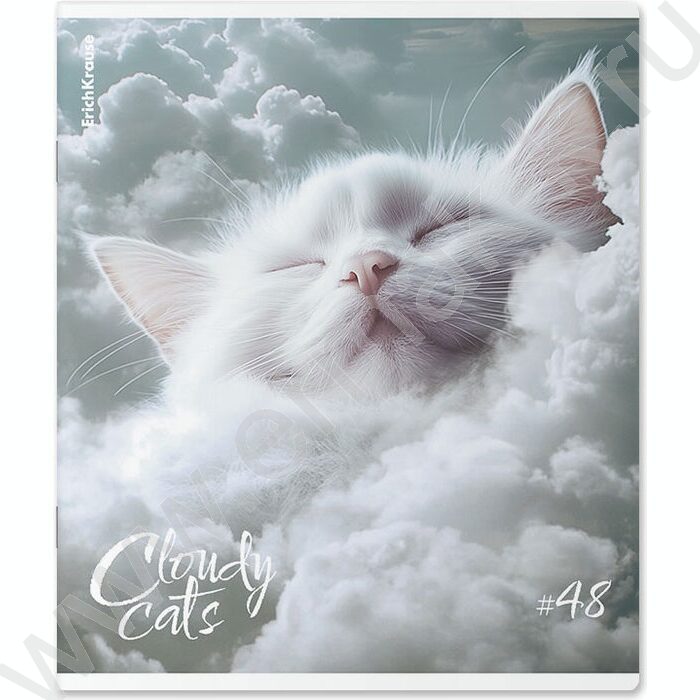 Тетрадь  48л клетка "Cloudy Cats" /мат.лам. /ассорти | Фото 3