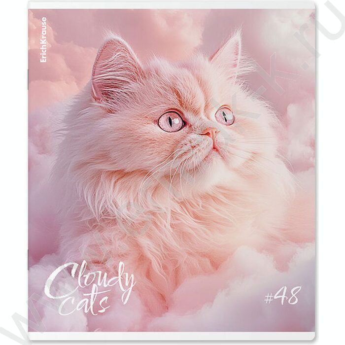 Тетрадь  48л клетка "Cloudy Cats" /мат.лам. /ассорти | Фото 4
