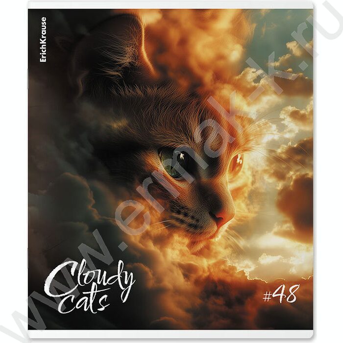 Тетрадь  48л клетка "Cloudy Cats" /мат.лам. /ассорти | Фото 5