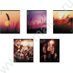 Тетрадь  48л клетка "Macro Nature" /мат.лам. /ассорти NEW | Фото 1