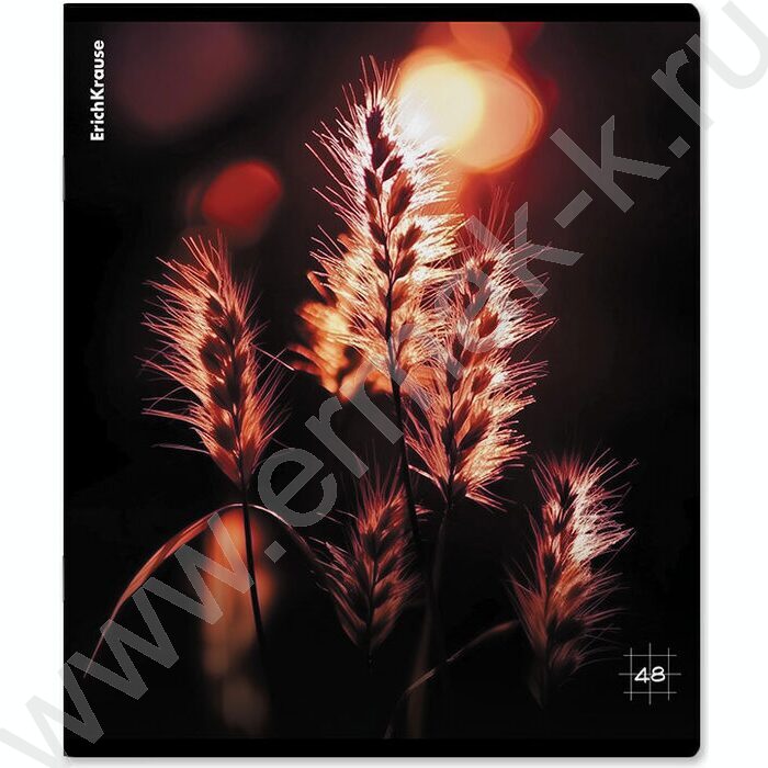 Тетрадь  48л клетка "Macro Nature" /мат.лам. /ассорти | Фото 5