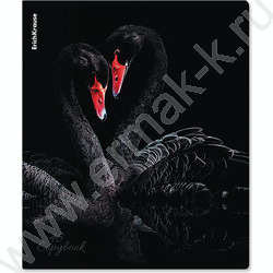 Тетрадь  48л клетка "Attention" /мат.лам. + выбор. УФ-лак /ассорти NEW | Фото 6