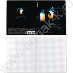 Тетрадь  48л клетка "Attention" /мат.лам. + выбор. УФ-лак /ассорти NEW | Фото 7