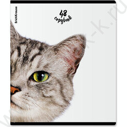 Тетрадь  48л клетка "Котики" /мат.лам. + выбор. УФ-лак /ассорти NEW | Фото 3