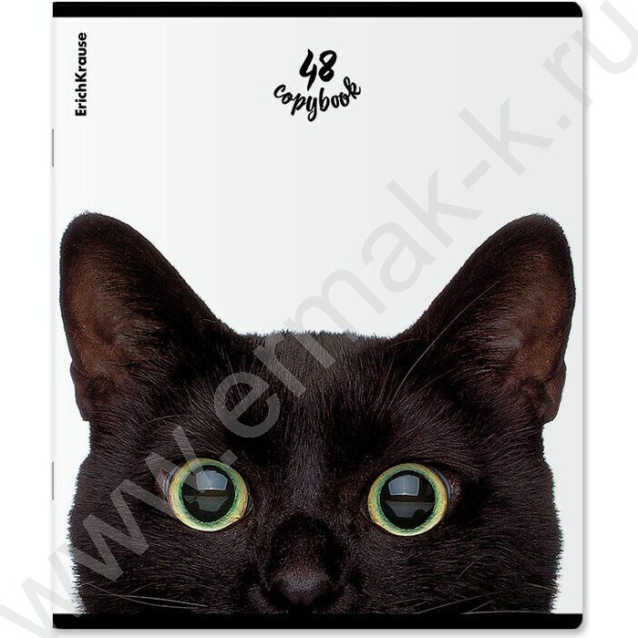 Тетрадь  48л клетка "Котики" /мат.лам. + выбор. УФ-лак /ассорти | Фото 4