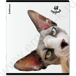 Тетрадь  48л клетка "Котики" /мат.лам. + выбор. УФ-лак /ассорти NEW | Фото 5