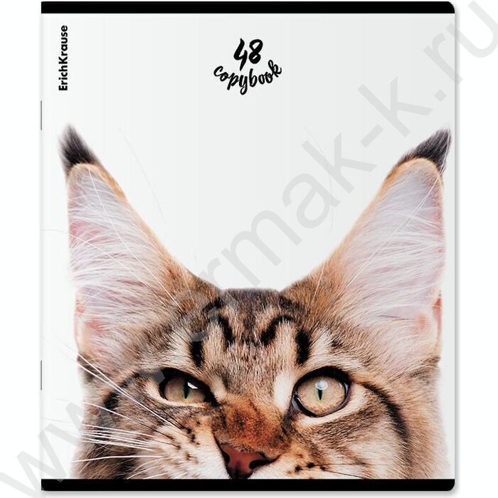 Тетрадь  48л клетка "Котики" /мат.лам. + выбор. УФ-лак /ассорти | Фото 6