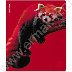 Тетрадь  48л клетка "Scarlet" /лам. soft-touch + выбор. УФ-лак /ассорти NEW | Фото 3