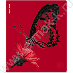 Тетрадь  48л клетка "Scarlet" /лам. soft-touch + выбор. УФ-лак /ассорти NEW | Фото 5