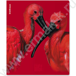 Тетрадь  48л клетка "Scarlet" /лам. soft-touch + выбор. УФ-лак /ассорти NEW | Фото 6