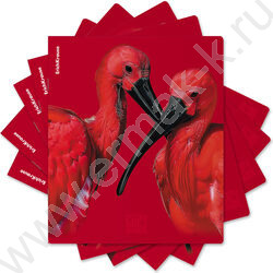 Тетрадь  48л клетка "Scarlet" /лам. soft-touch + выбор. УФ-лак /ассорти NEW | Фото 9