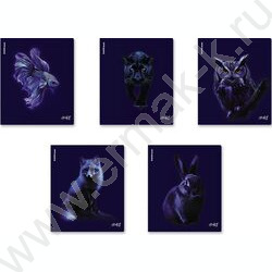 Тетрадь  48л клетка "Indigo" /лам. soft-touch + выбор. УФ-лак /ассорти NEW | Фото 1