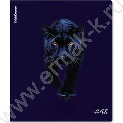 Тетрадь  48л клетка "Indigo" /лам. soft-touch + выбор. УФ-лак /ассорти NEW | Фото 3