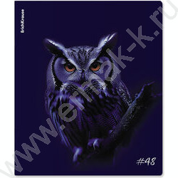 Тетрадь  48л клетка "Indigo" /лам. soft-touch + выбор. УФ-лак /ассорти NEW | Фото 4