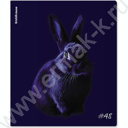 Тетрадь  48л клетка "Indigo" /лам. soft-touch + выбор. УФ-лак /ассорти NEW | Фото 6