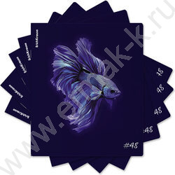 Тетрадь  48л клетка "Indigo" /лам. soft-touch + выбор. УФ-лак /ассорти NEW | Фото 9