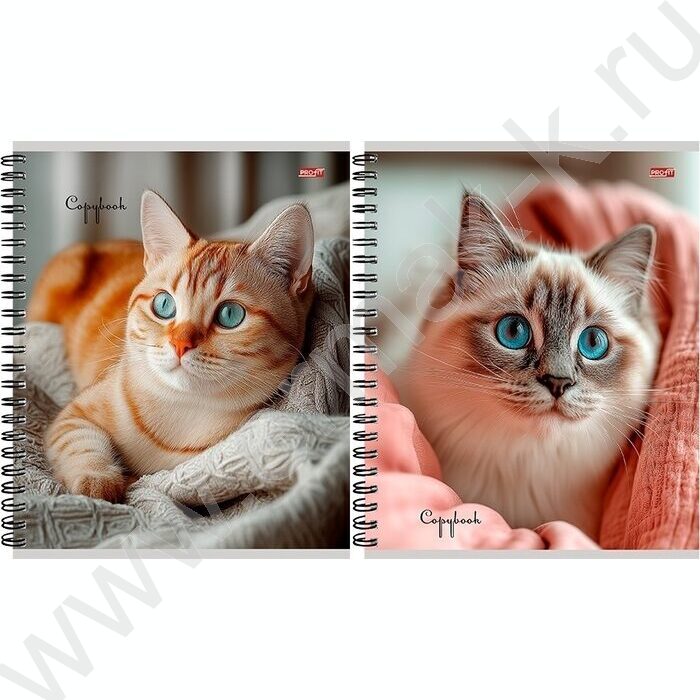 Тетрадь  80л клетка/спираль "Уютные котики-1" ассорти | Фото 1