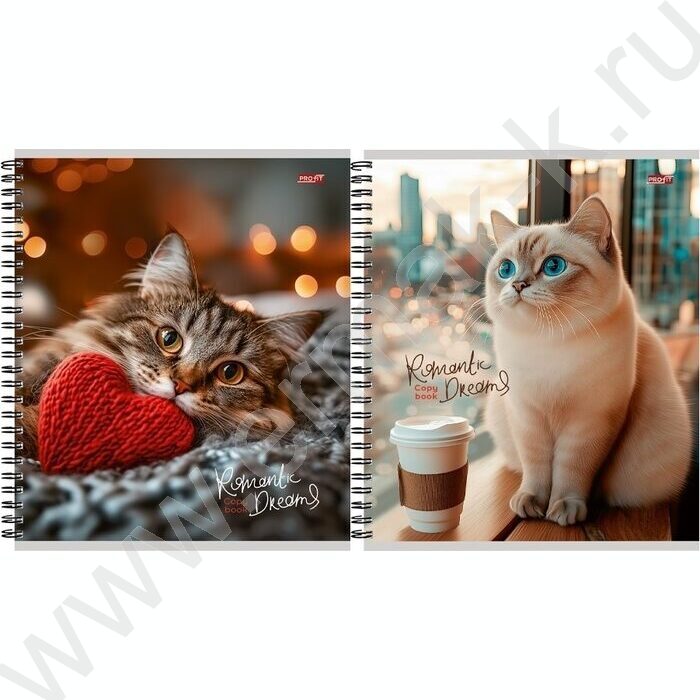 Тетрадь  96л клетка/спираль "Красивые коты" ассорти | Фото 1