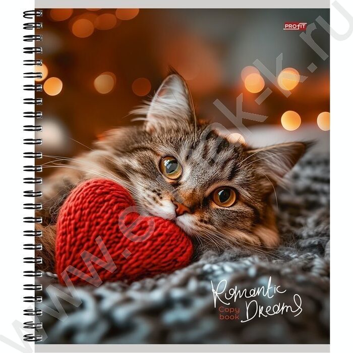 Тетрадь  96л клетка/спираль "Красивые коты" ассорти | Фото 2